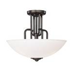 Semi-Flush Ceiling Fixture