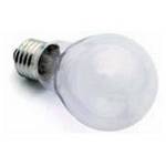 60-watt A15 appliance bulb
