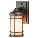 11-Inch Outdoor Wall Light