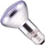 45-Watt R20 Incandescent Lamp