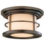 Outdoor Flushmount Ceiling Fixture
