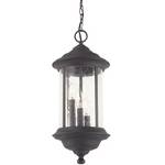 Hanging Outdoor Pendant 