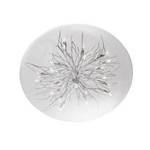 19-3/4-Inch Ceiling Fixture