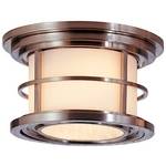 Outdoor Flushmount Ceiling Fixture
