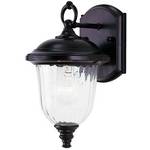 11-Inch Outdoor Wall Light