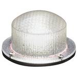 Low Voltage Pond Light