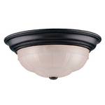 16-Inch Flushmount Ceiling Fixture