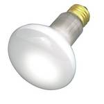 100-watt R20 reflector bulb