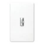 1000-Watt Incandescent Dimmer Switch 