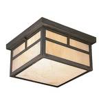 Outdoor Flushmount Ceiling Fixture
