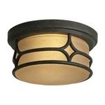 12-Inch Craftsman Ceiling Fixture