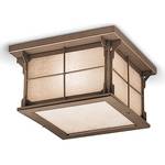 Outdoor Flushmount Ceiling Fixture