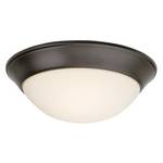 14-Inch Flushmount Ceiling Fixture