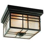 Outdoor Ceiling Fixture