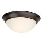 16-Inch Flushmount Ceiling Light Fixture