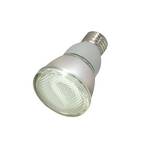 11-Watt Energy Star Qualified PAR30 Compact Fluorescent Lamp