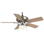 Energy Star Qualified Ceiling Fan with Five Blades 
