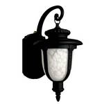 Energy Star Qualified Outdoor Wall Light