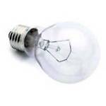 60-watt A19 incandescent bulb