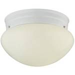 6-Inch Flushmount Ceiling Light