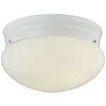 8-Inch Flushmount Ceiling Light