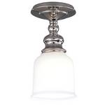 Traditional Ceiling Fixture