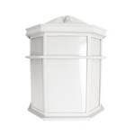 Energy Star Qualified Outdoor Wall Light
