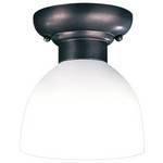 Traditional Ceiling Fixture