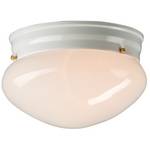 7-Inch Flushmount Ceiling Fixture
