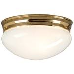 9-Inch Flushmount Ceiling Fixture