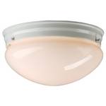 9-Inch Flushmount Ceiling Fixture 