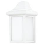 Outdoor Wall Light