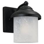 Outdoor Wall Light