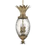 Indoor/Outdoor Pendant