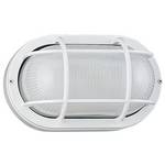 Oval Bulkhead Ceiling/Wall Light