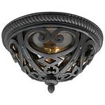 Flushmount Outdoor Ceiling Light