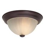 11-Inch Energy Star Qualified Ceiling Fixture