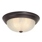 15-Inch Energy Star Qualified Ceiling Fixture