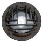 Well Light with Rock Guard