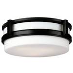 Three-Light Ceiling Fixture