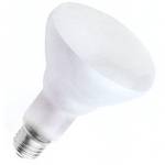 65-watt BR30 incandescent bulb