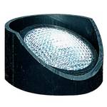 Low Voltage Well Light