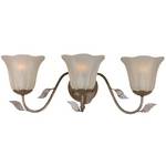 Three-Light Bathroom Fixture