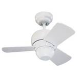 Compact 24-Inch Ceiling Fan with Three Blades