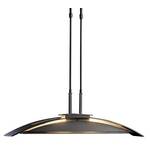 Adjustable Halogen Pendant
