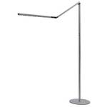 LED Floor Lamp