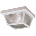 Outdoor Ceiling Fixture