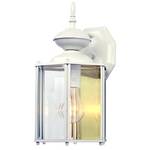 Outdoor Wall Light with Clear Glass 