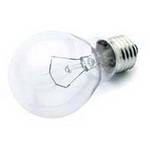 75-watt A19 incandescent bulb