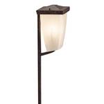 Low Voltage Path Light
